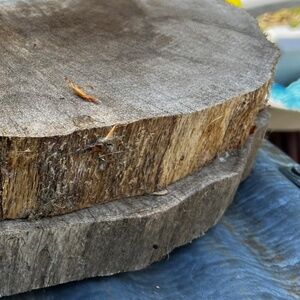 CaudalÍe Premier Cru The Eye Cream - NIB